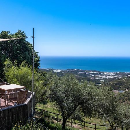 Campo Agave Luxury Tents Sayalonga Zewnętrze zdjęcie