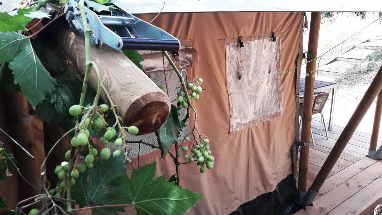 Campo Agave Luxury Tents Sayalonga Zewnętrze zdjęcie