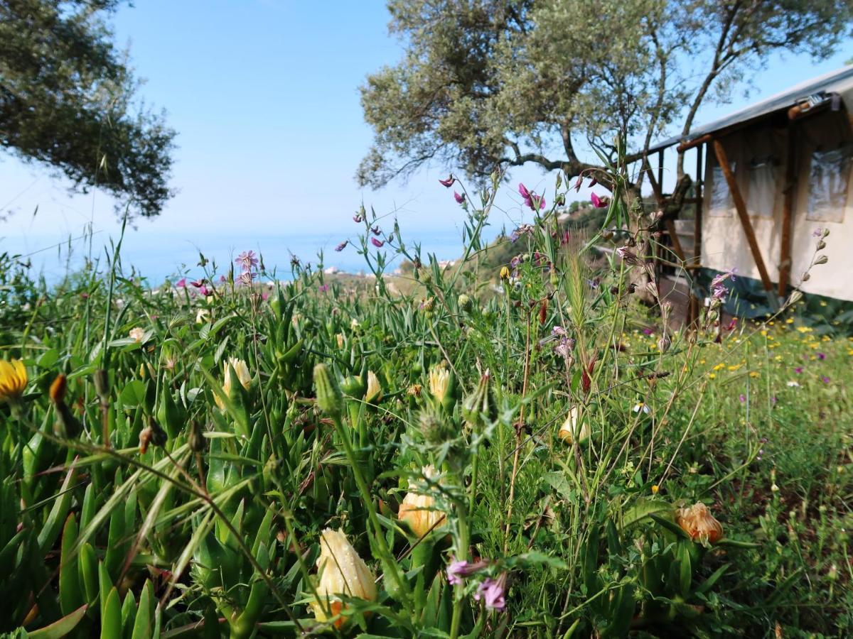 Campo Agave Luxury Tents Sayalonga Zewnętrze zdjęcie