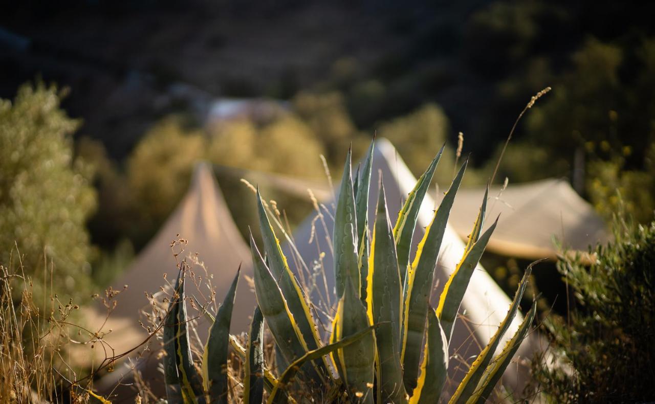 Campo Agave Luxury Tents Sayalonga Zewnętrze zdjęcie