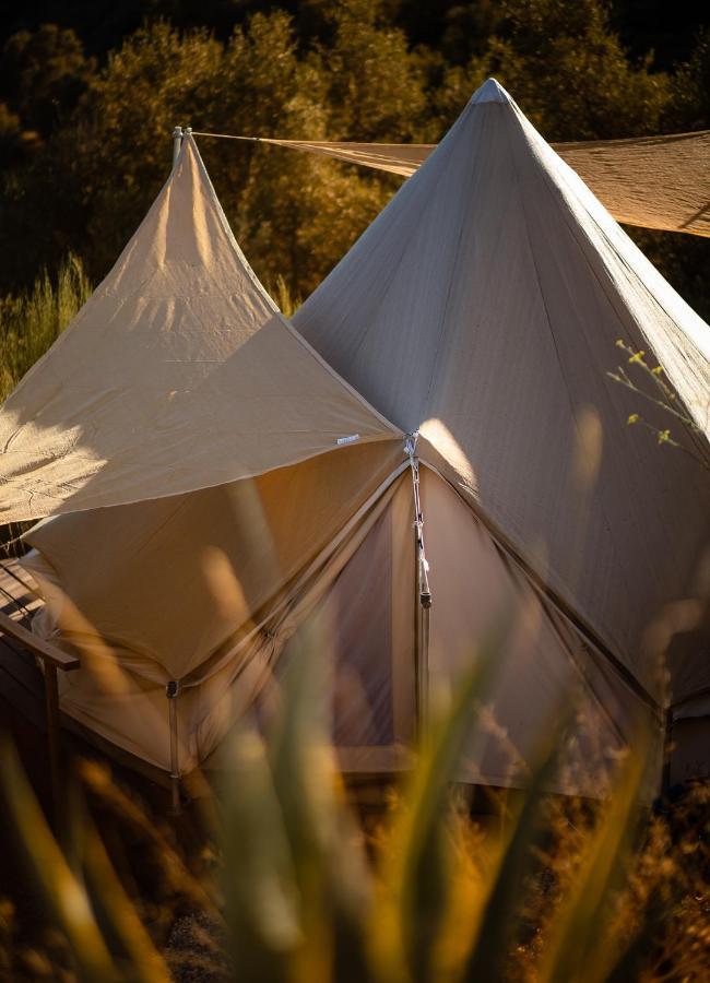Campo Agave Luxury Tents Sayalonga Zewnętrze zdjęcie