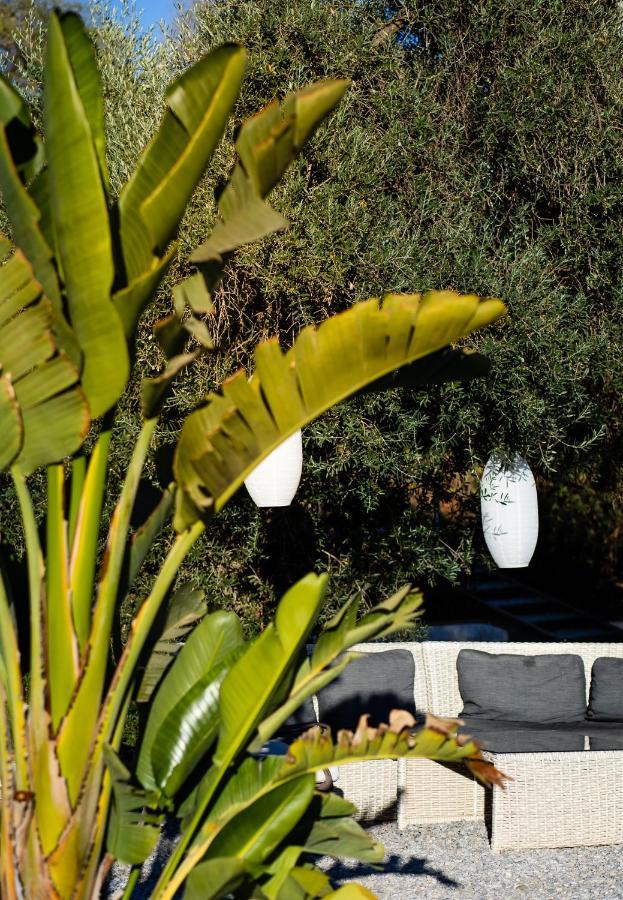 Campo Agave Luxury Tents Sayalonga Zewnętrze zdjęcie
