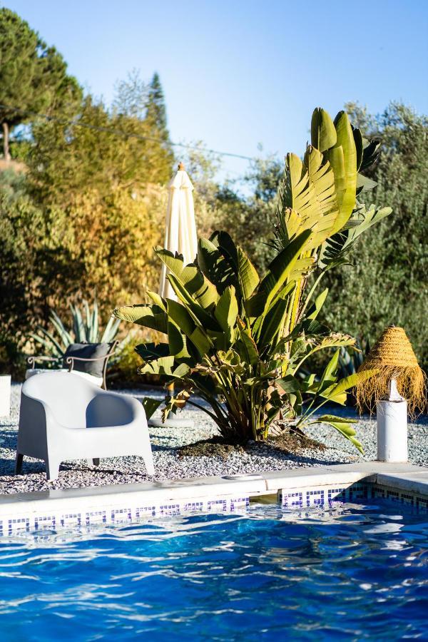 Campo Agave Luxury Tents Sayalonga Zewnętrze zdjęcie
