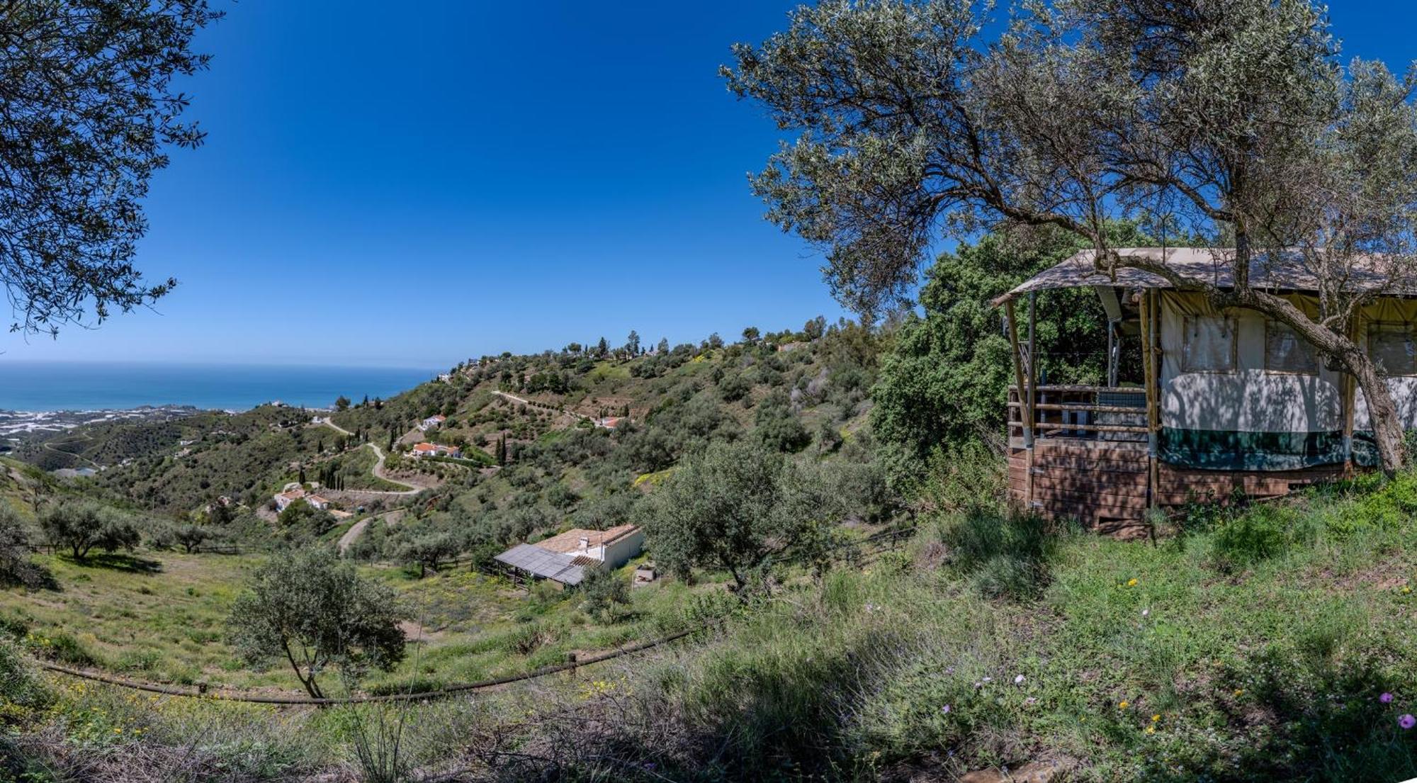 Campo Agave Luxury Tents Sayalonga Zewnętrze zdjęcie
