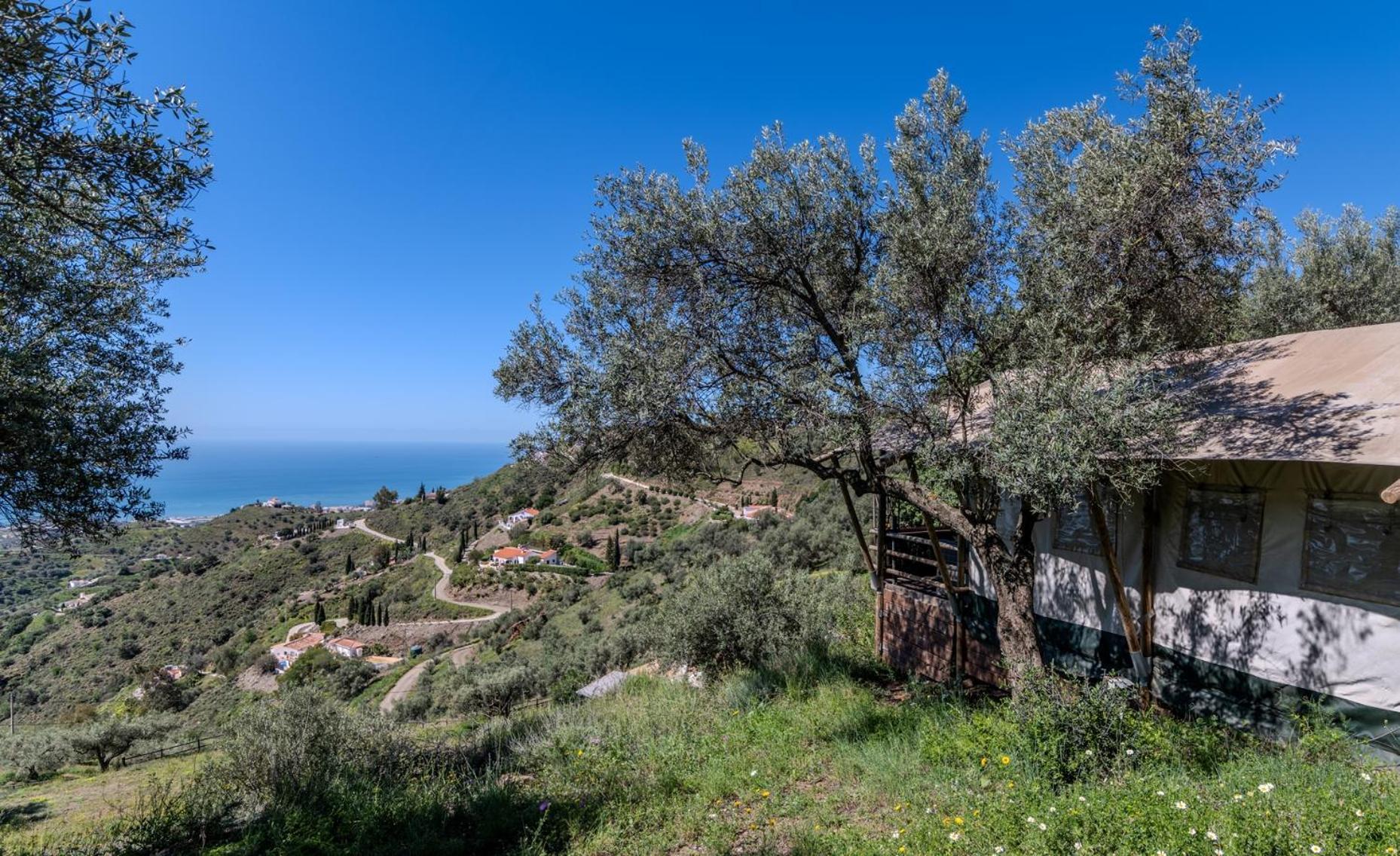 Campo Agave Luxury Tents Sayalonga Zewnętrze zdjęcie